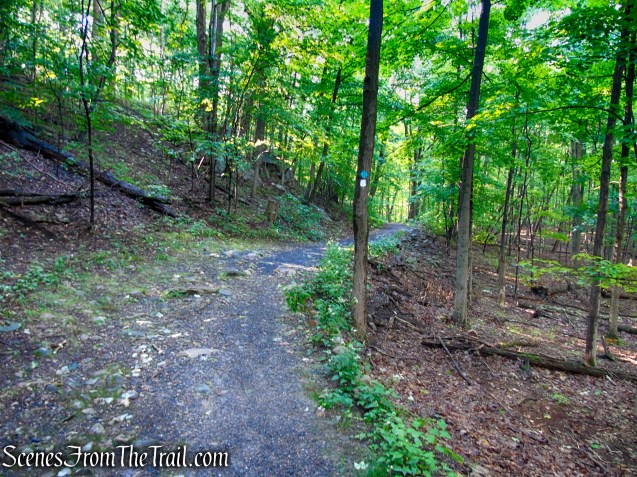 Scenic Trail - Black Rock Forest
