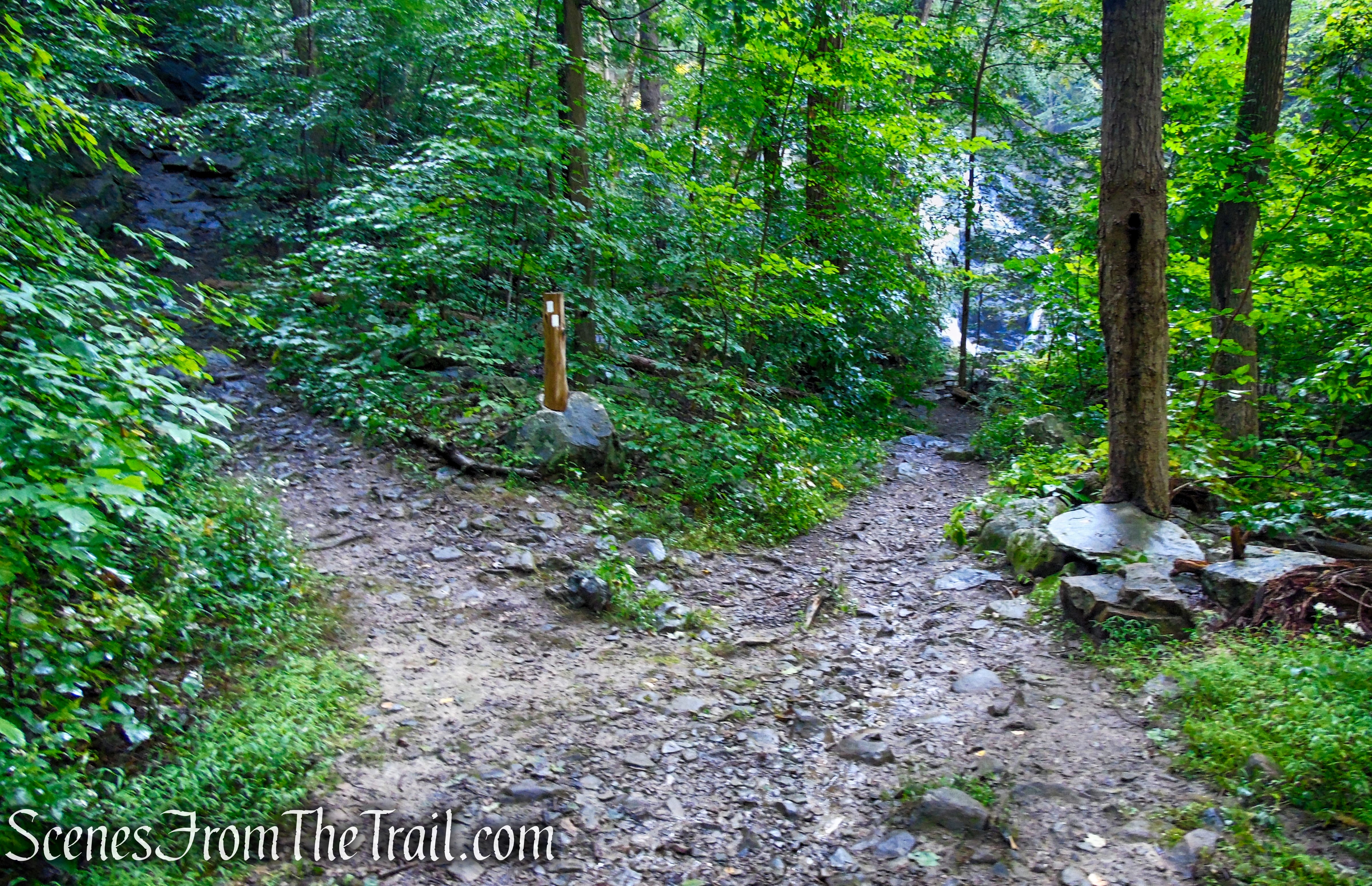 Scenic Trail - Black Rock Forest