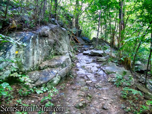 Scenic Trail - Black Rock Forest