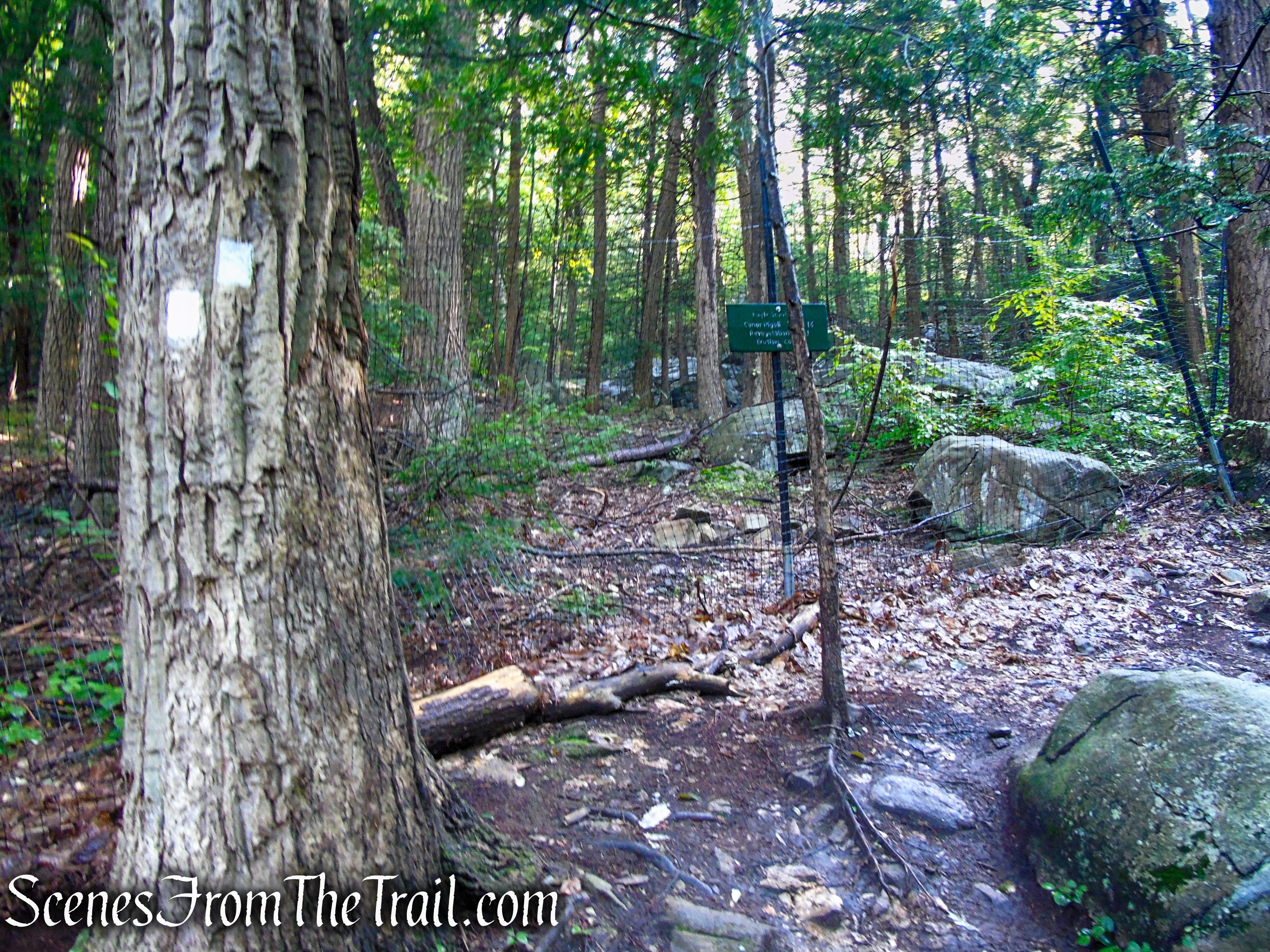 Scenic Trail - Black Rock Forest