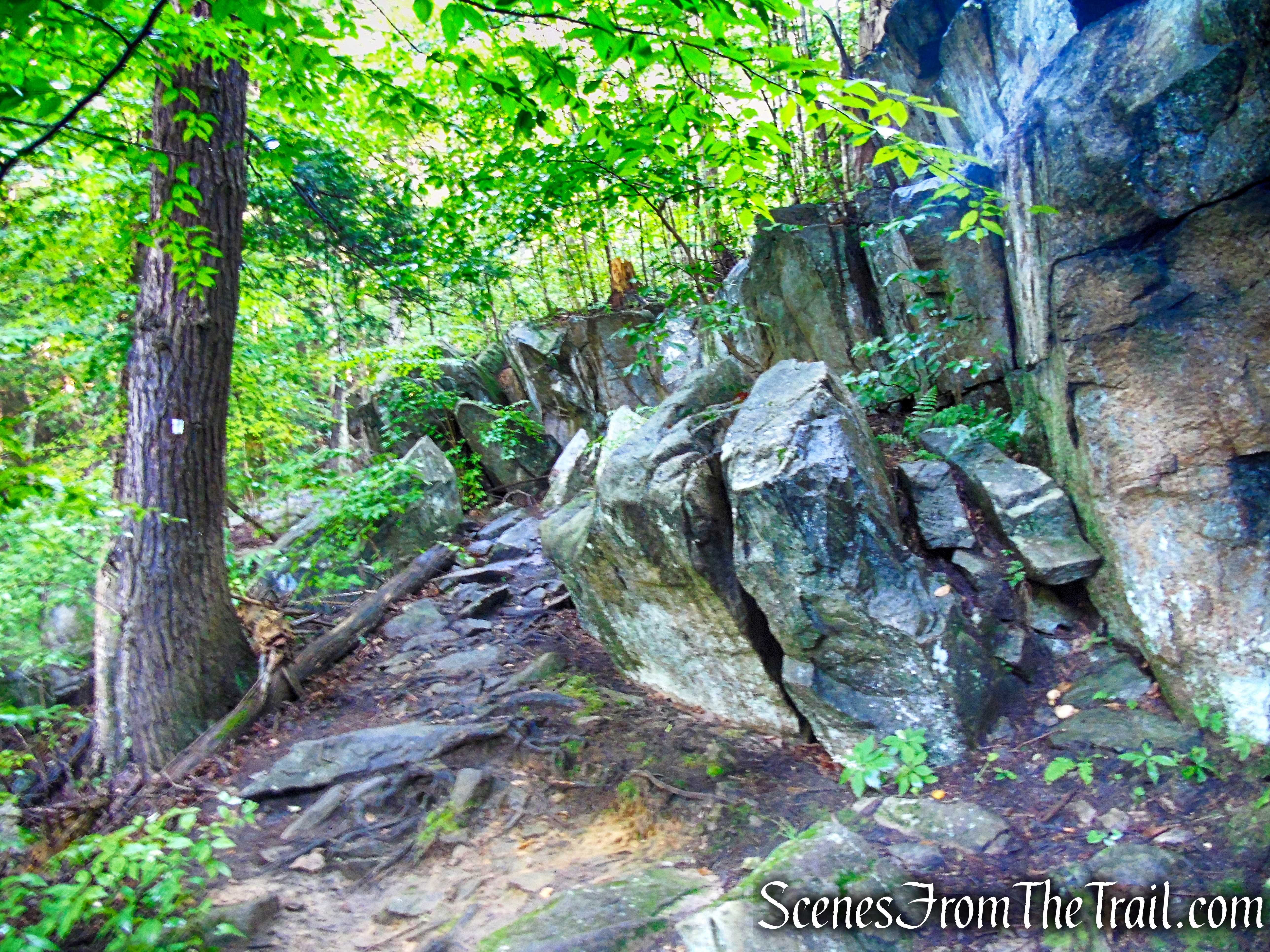 Scenic Trail - Black Rock Forest