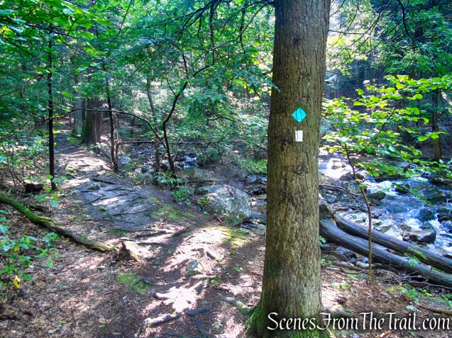 Scenic Trail - Black Rock Forest