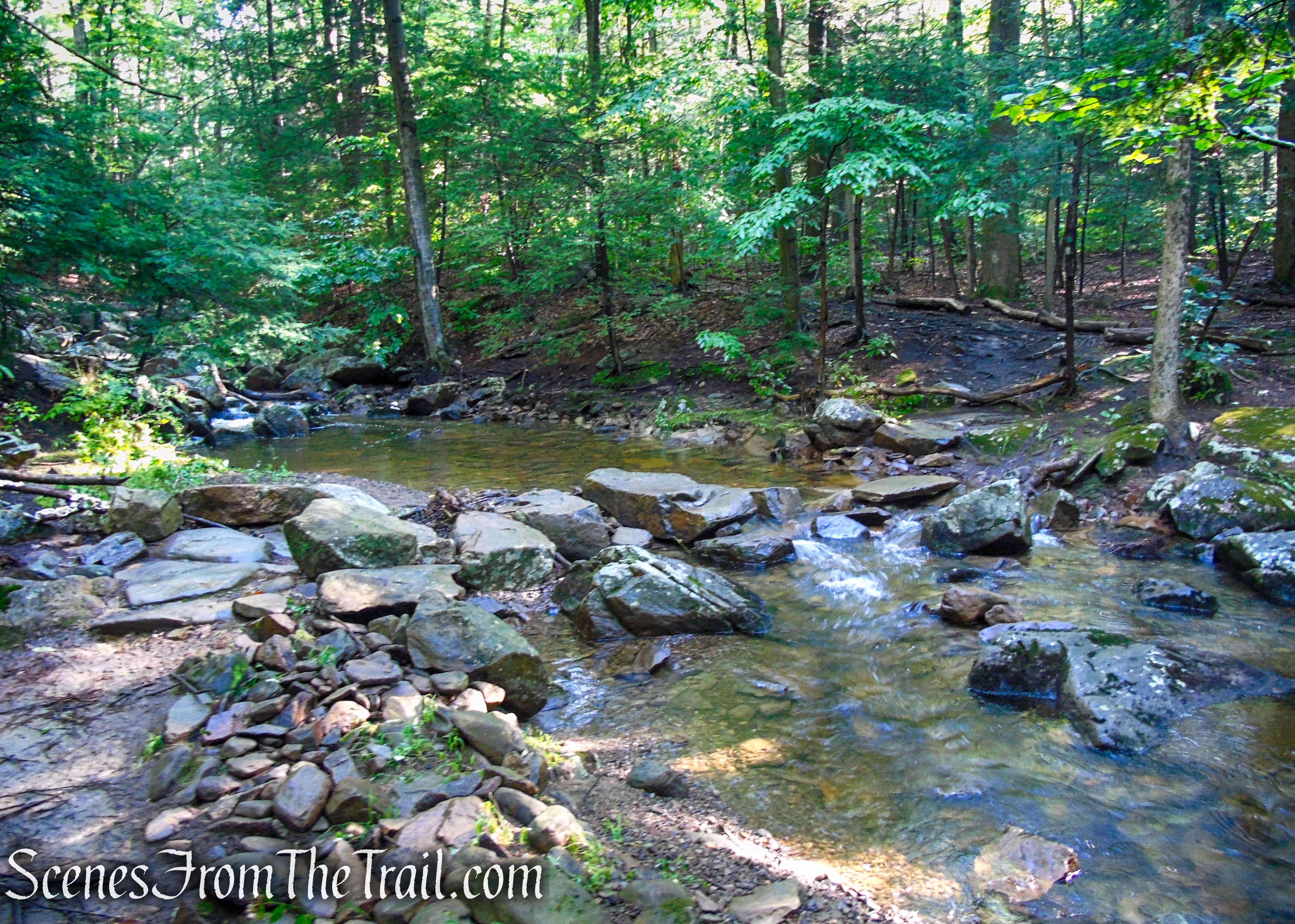 Scenic Trail - Black Rock Forest