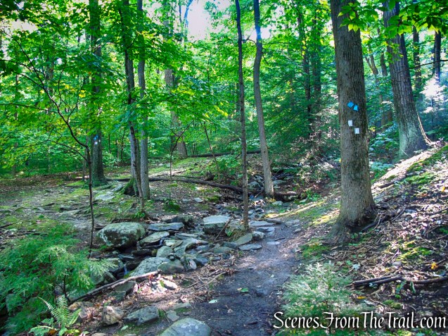 Scenic Trail - Black Rock Forest