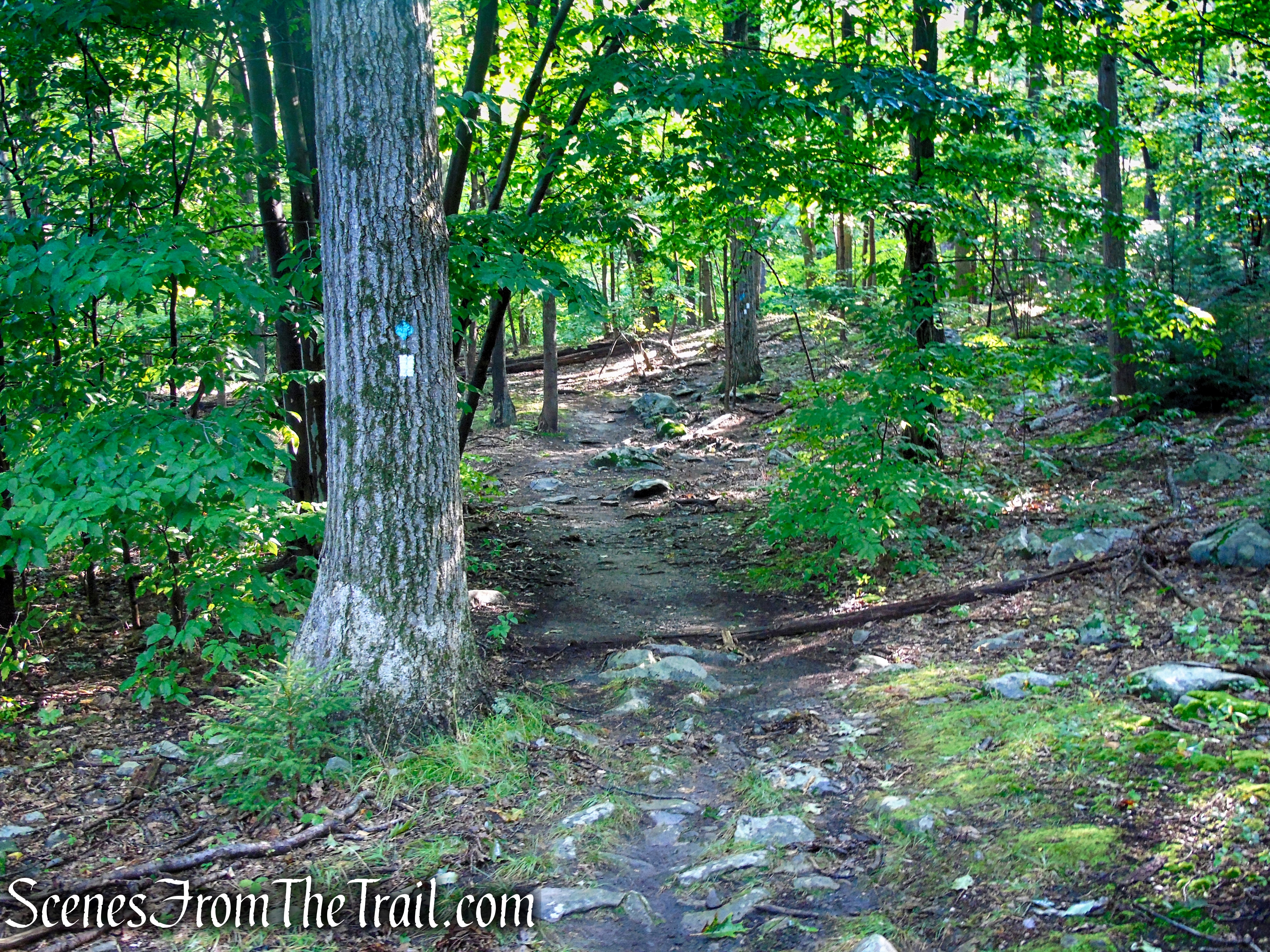 Scenic Trail - Black Rock Forest