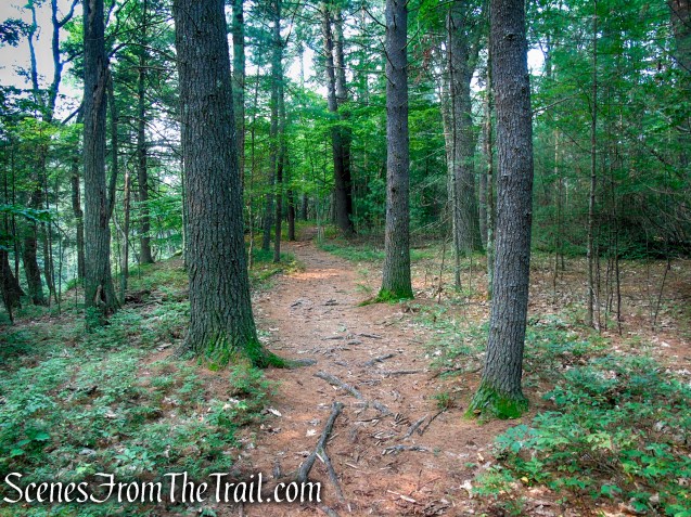 Upper Hornbecks Creek Trail – Delaware Water Gap