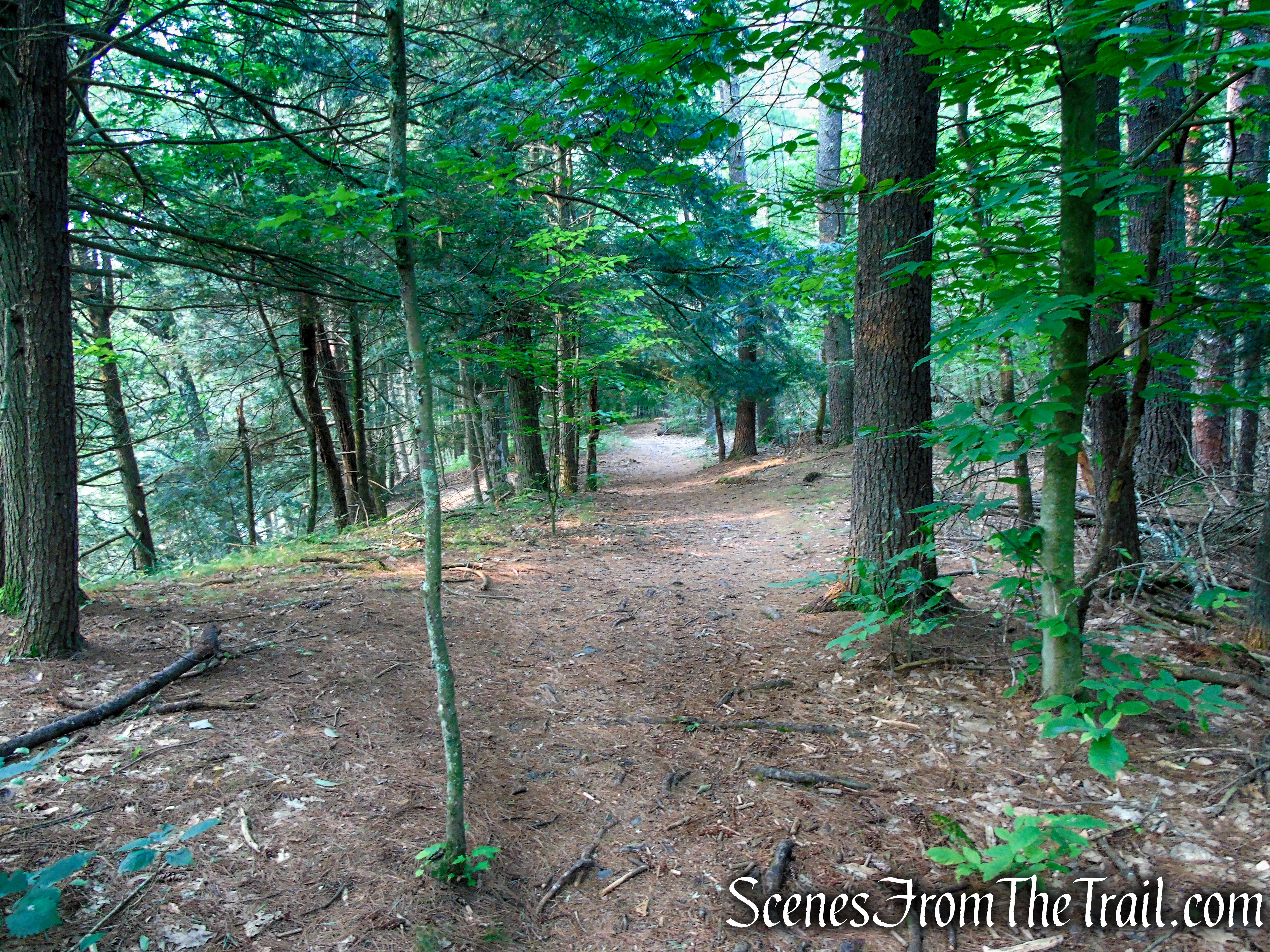 Upper Hornbecks Creek Trail – Delaware Water Gap