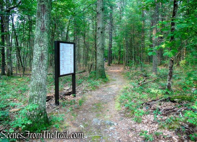 Upper Hornbecks Creek Trail - Emery Road