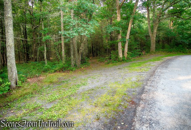 Upper Hornbecks Creek Trail - Emery Road