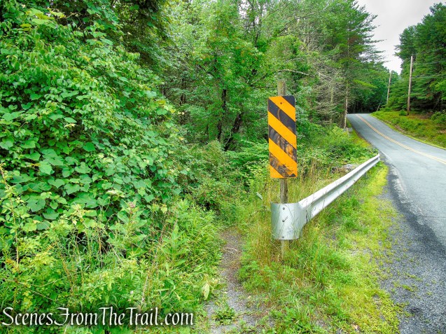 Unmarked trail - Upper Hornbecks Creek