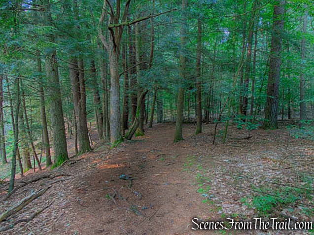 Upper Hornbecks Creek Trail – Delaware Water Gap