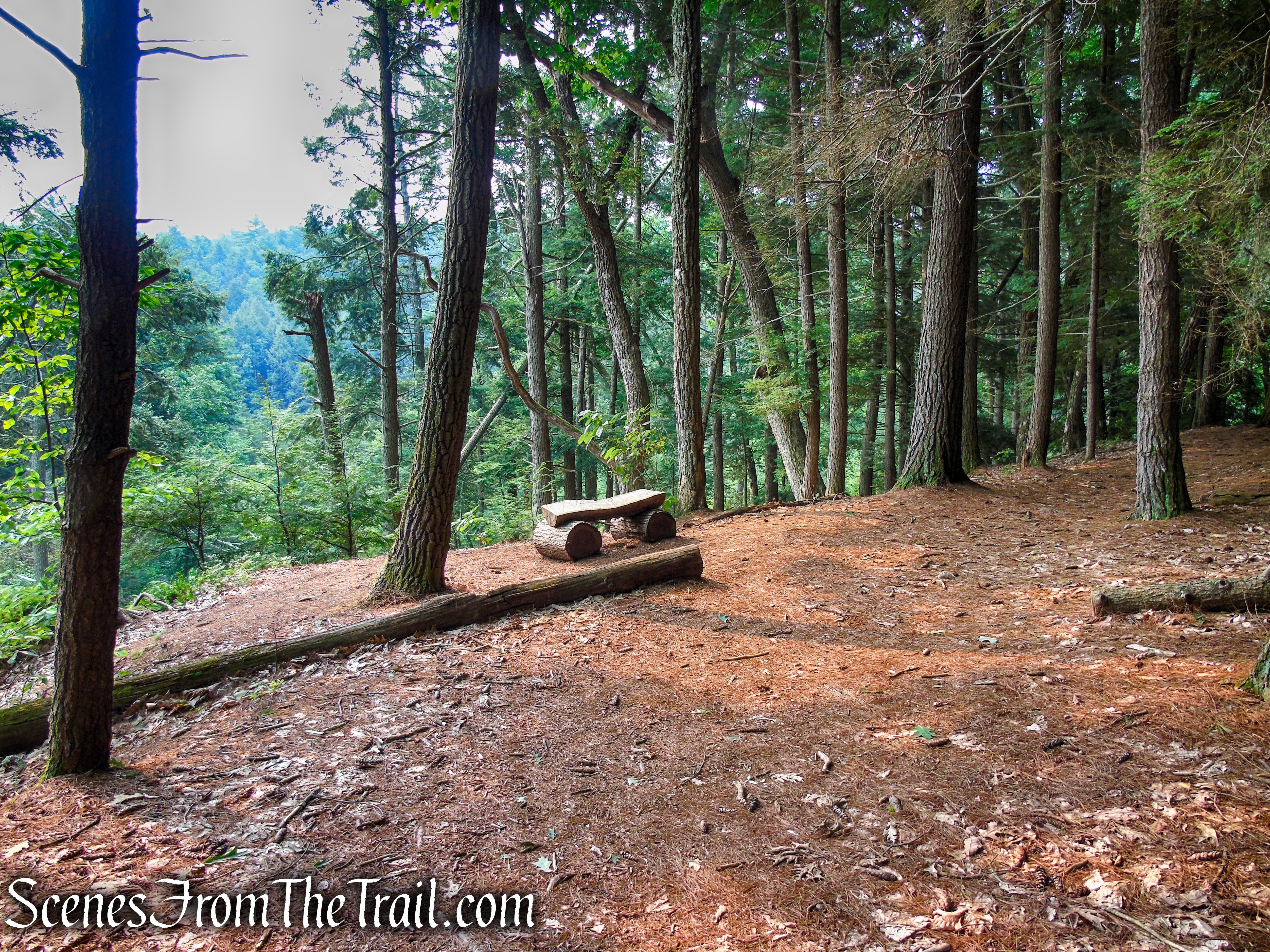 Upper Hornbecks Creek Trail – Delaware Water Gap