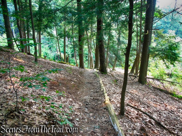 Upper Hornbecks Creek Trail – Delaware Water Gap