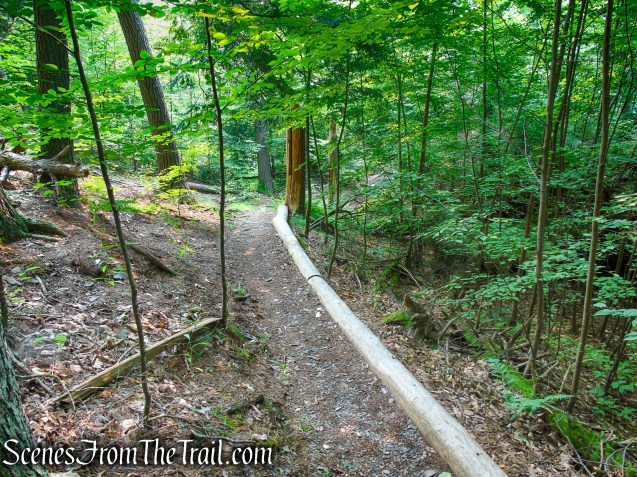 Upper Hornbecks Creek Trail – Delaware Water Gap