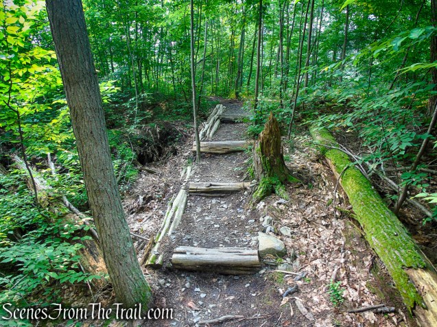 Upper Hornbecks Creek Trail – Delaware Water Gap