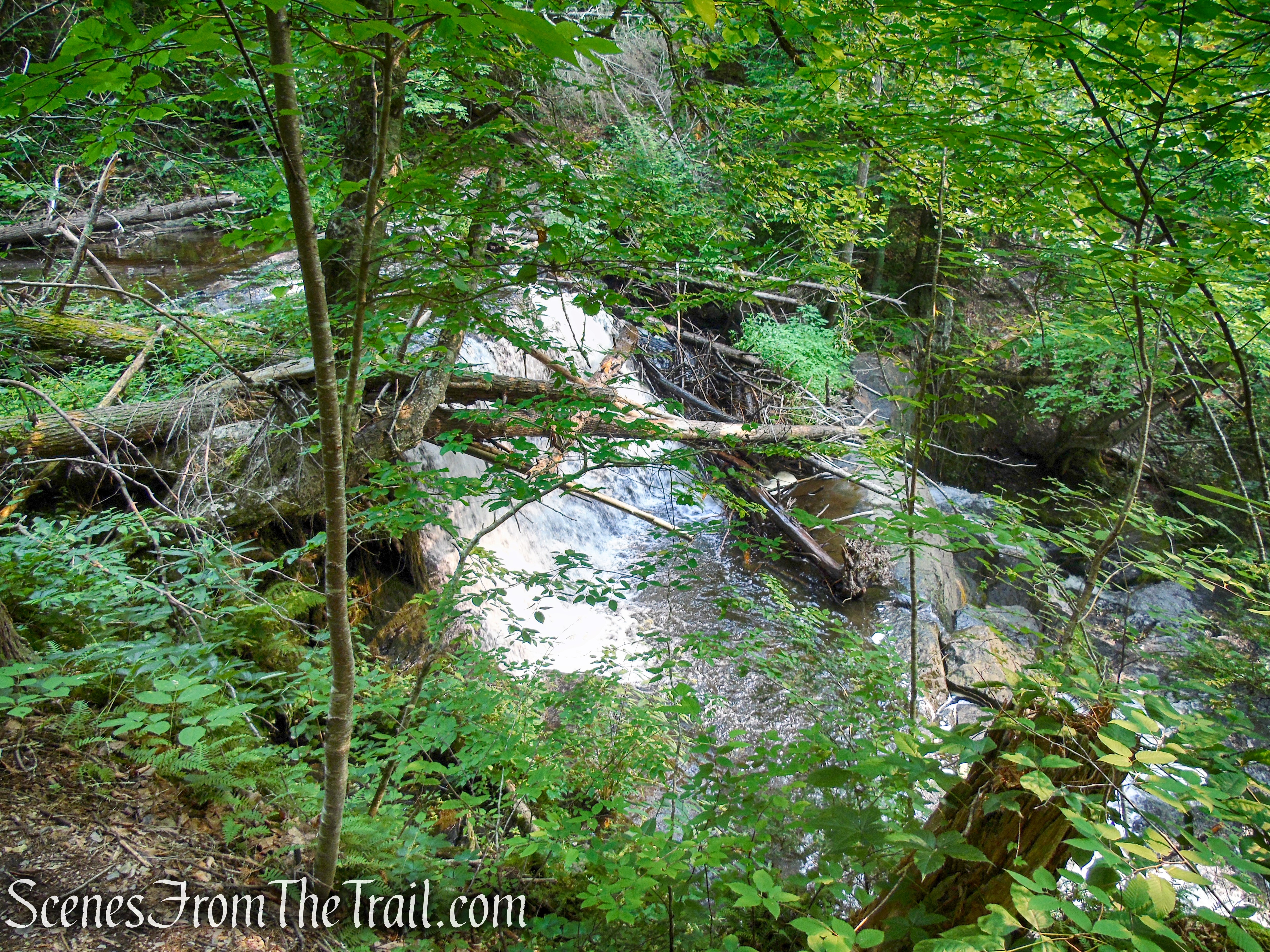 Upper Hornbecks Creek Trail – Delaware Water Gap