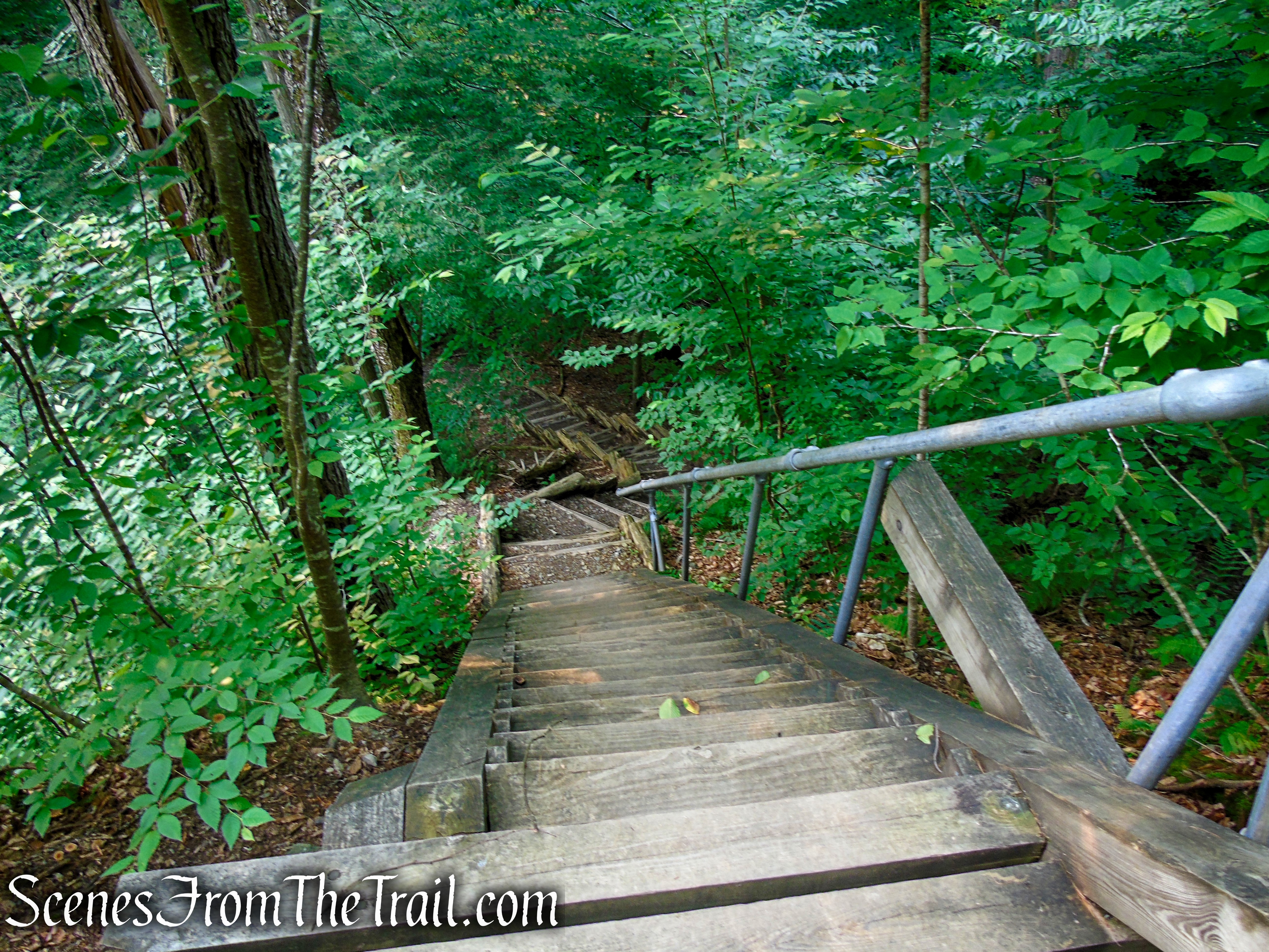 Upper Hornbecks Creek Trail – Delaware Water Gap