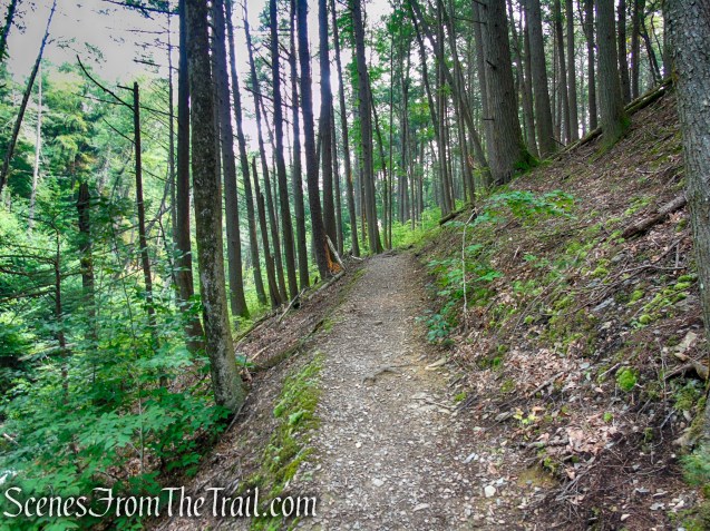 Upper Hornbecks Creek Trail – Delaware Water Gap