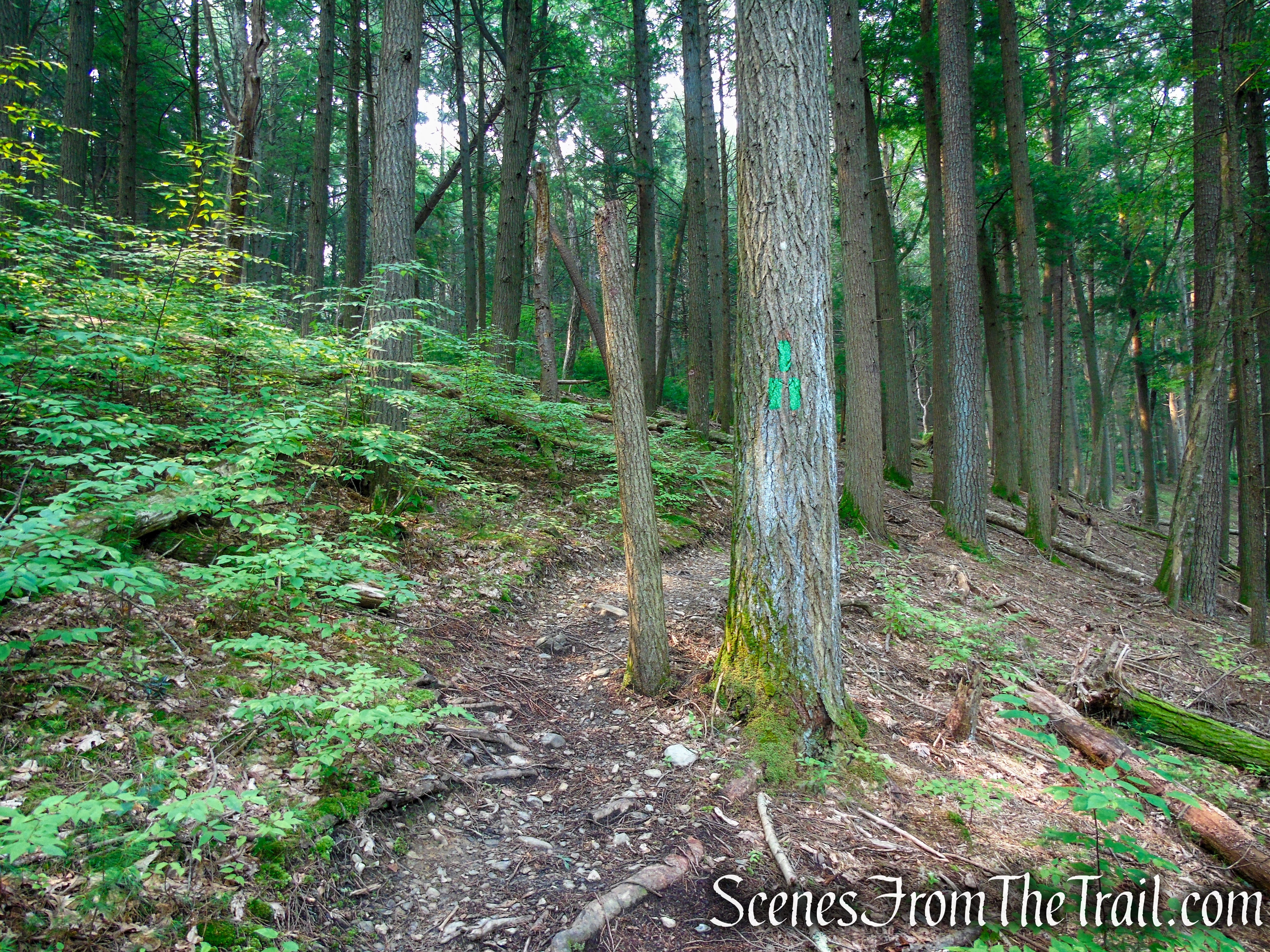 Connector Trail for PEEC