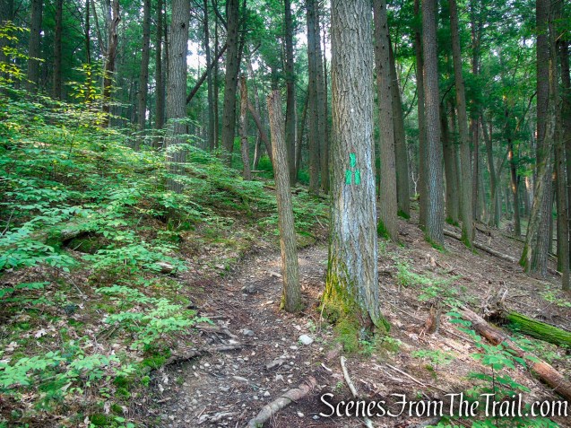 Connector Trail for PEEC