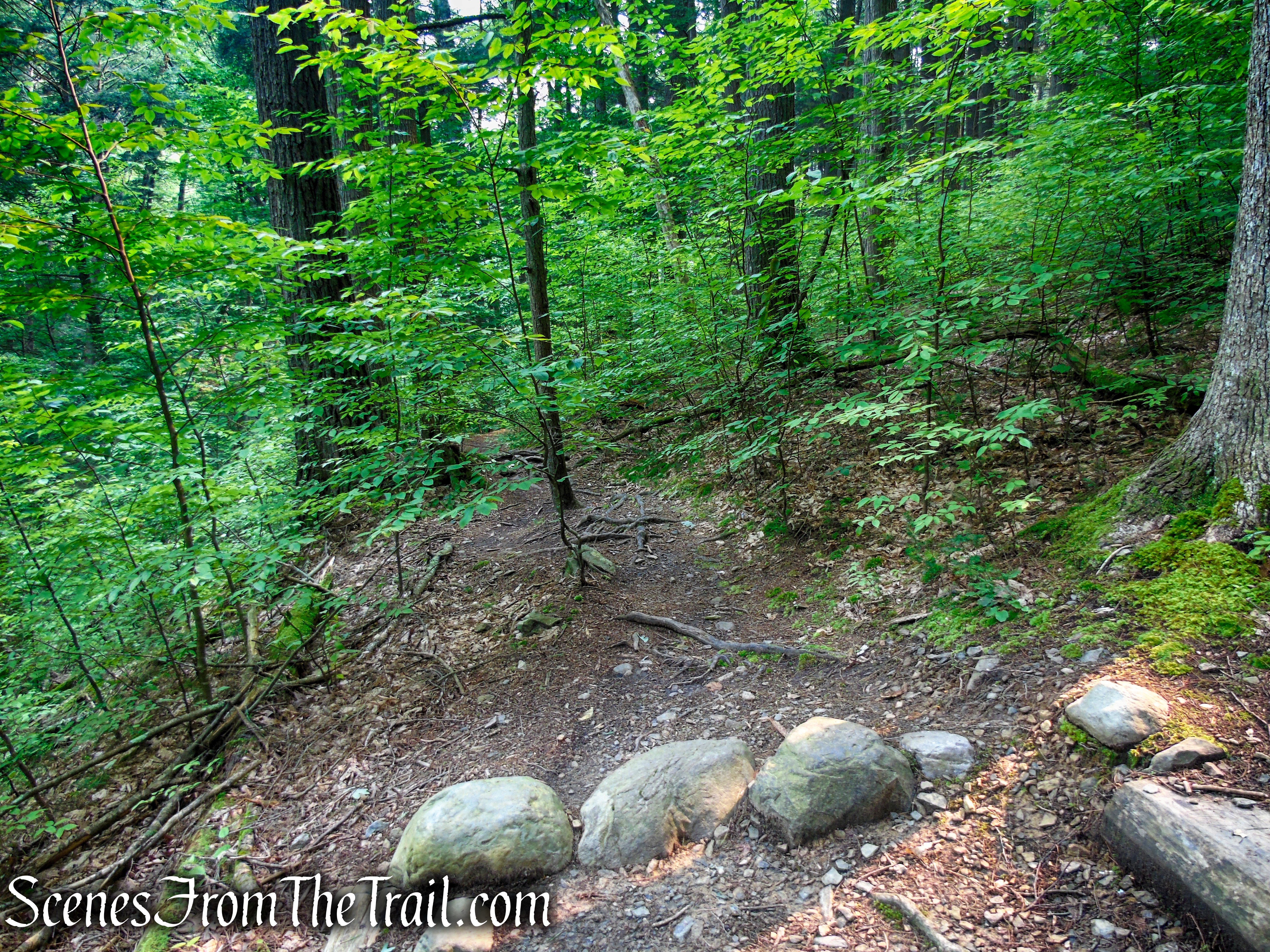 Upper Hornbecks Creek Trail – Delaware Water Gap