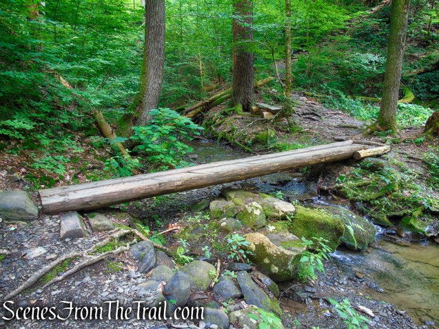 Upper Hornbecks Creek Trail – Delaware Water Gap