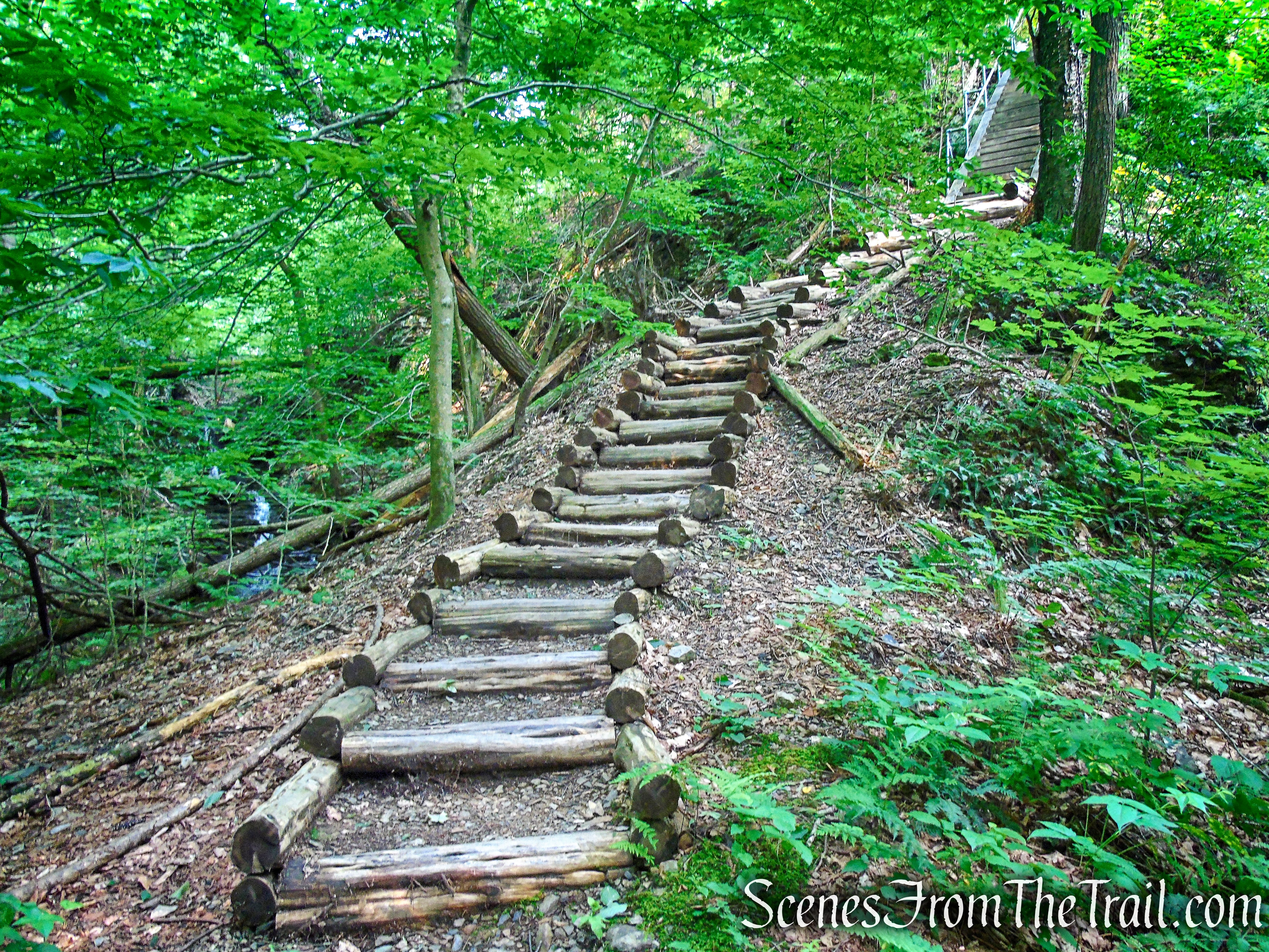 Upper Hornbecks Creek Trail – Delaware Water Gap