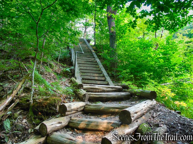Upper Hornbecks Creek Trail – Delaware Water Gap