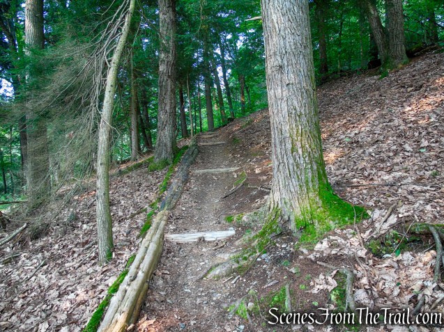 Upper Hornbecks Creek Trail – Delaware Water Gap