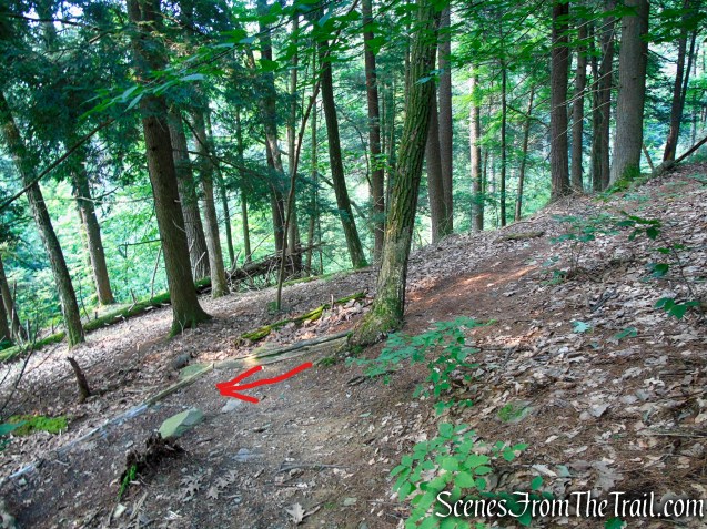 Turn left at the fork