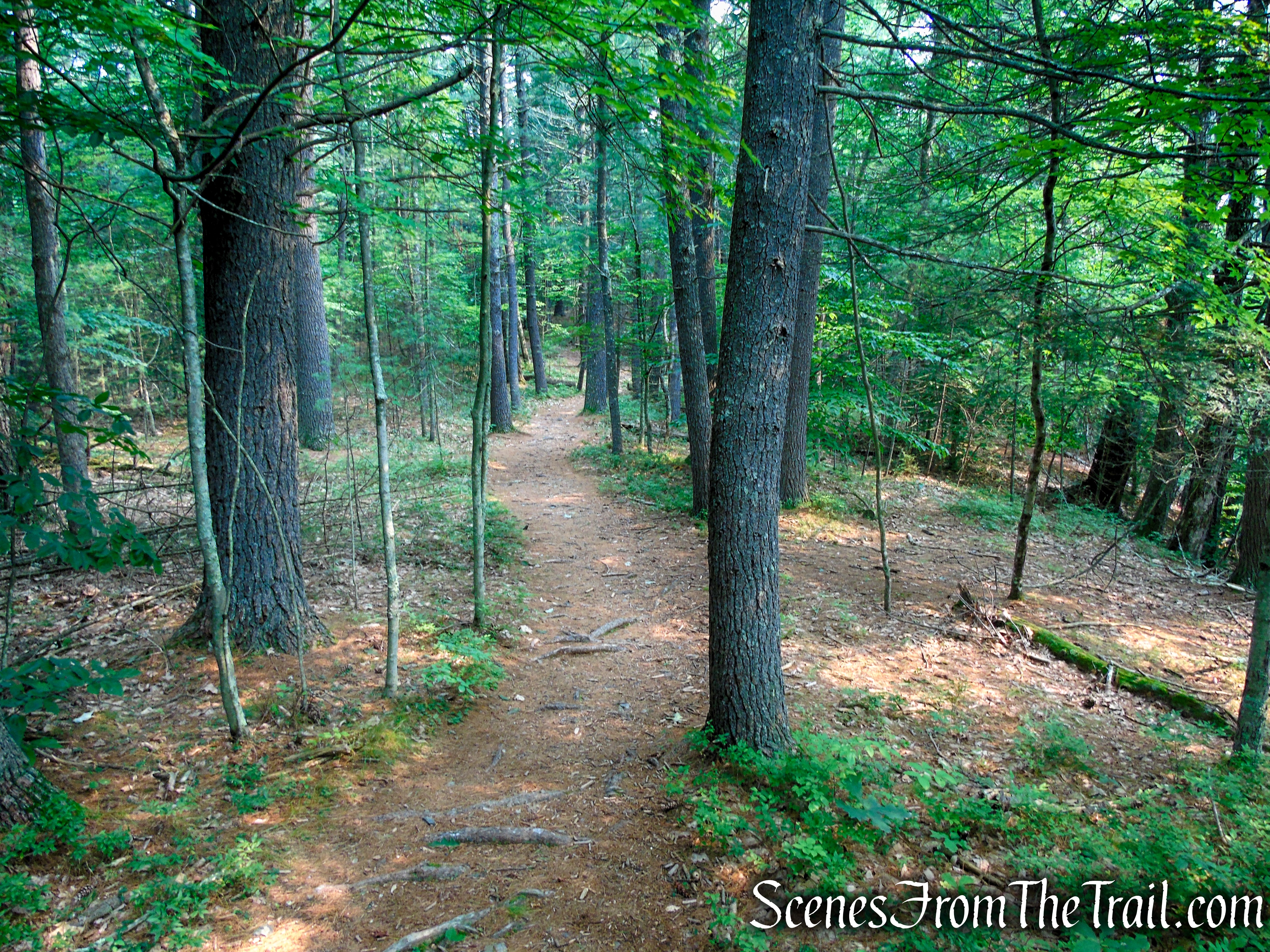 Upper Hornbecks Creek Trail – Delaware Water Gap