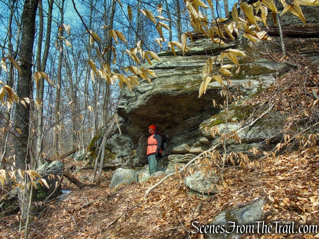rock shelter - Spiderweed Preserve