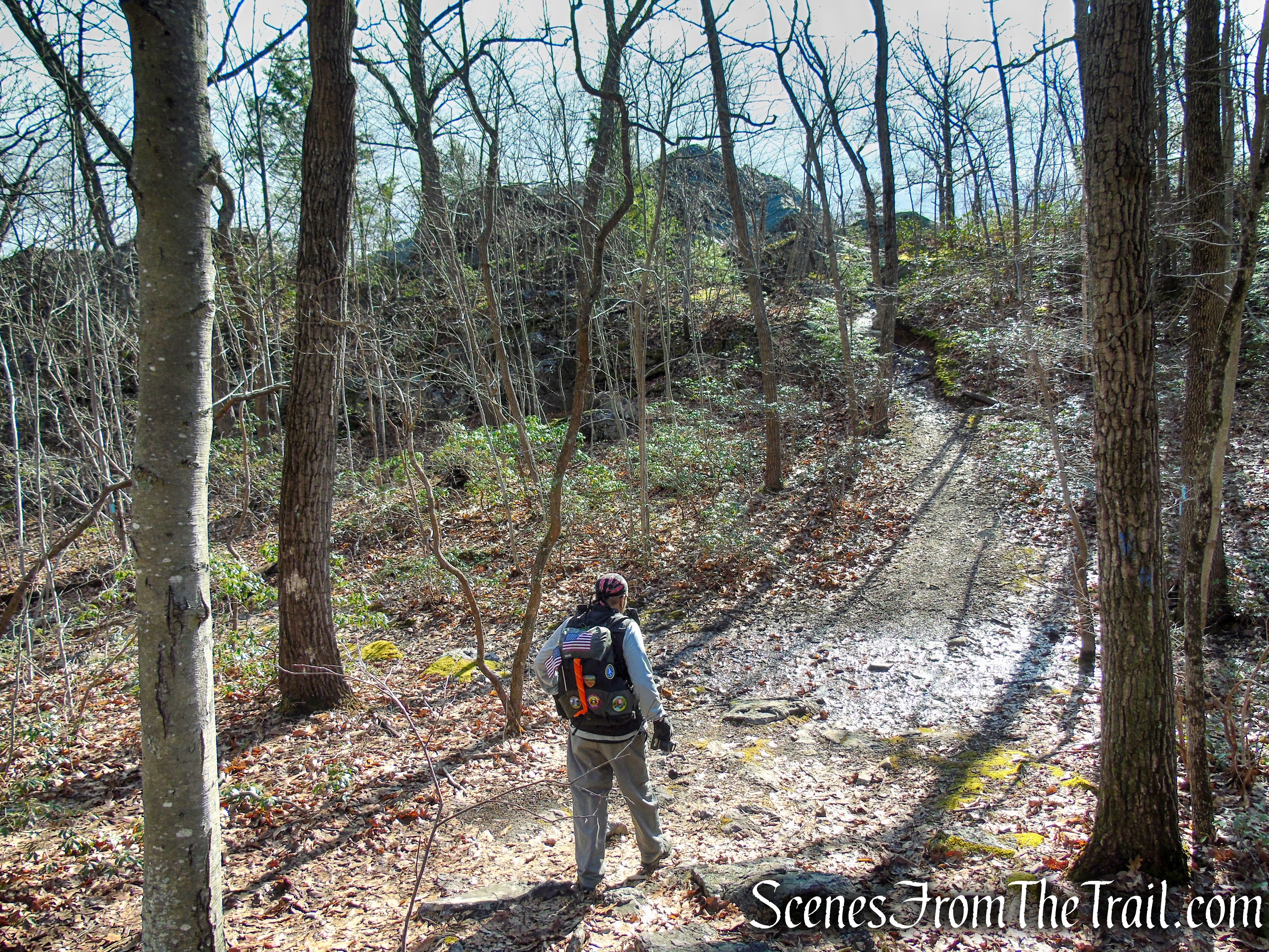 junction of AT and Blue Bypass Trail