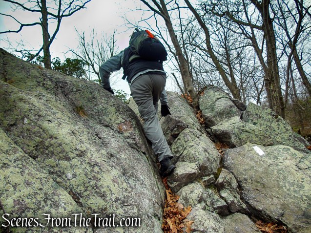 Cat Rocks - Bellvale Mountain