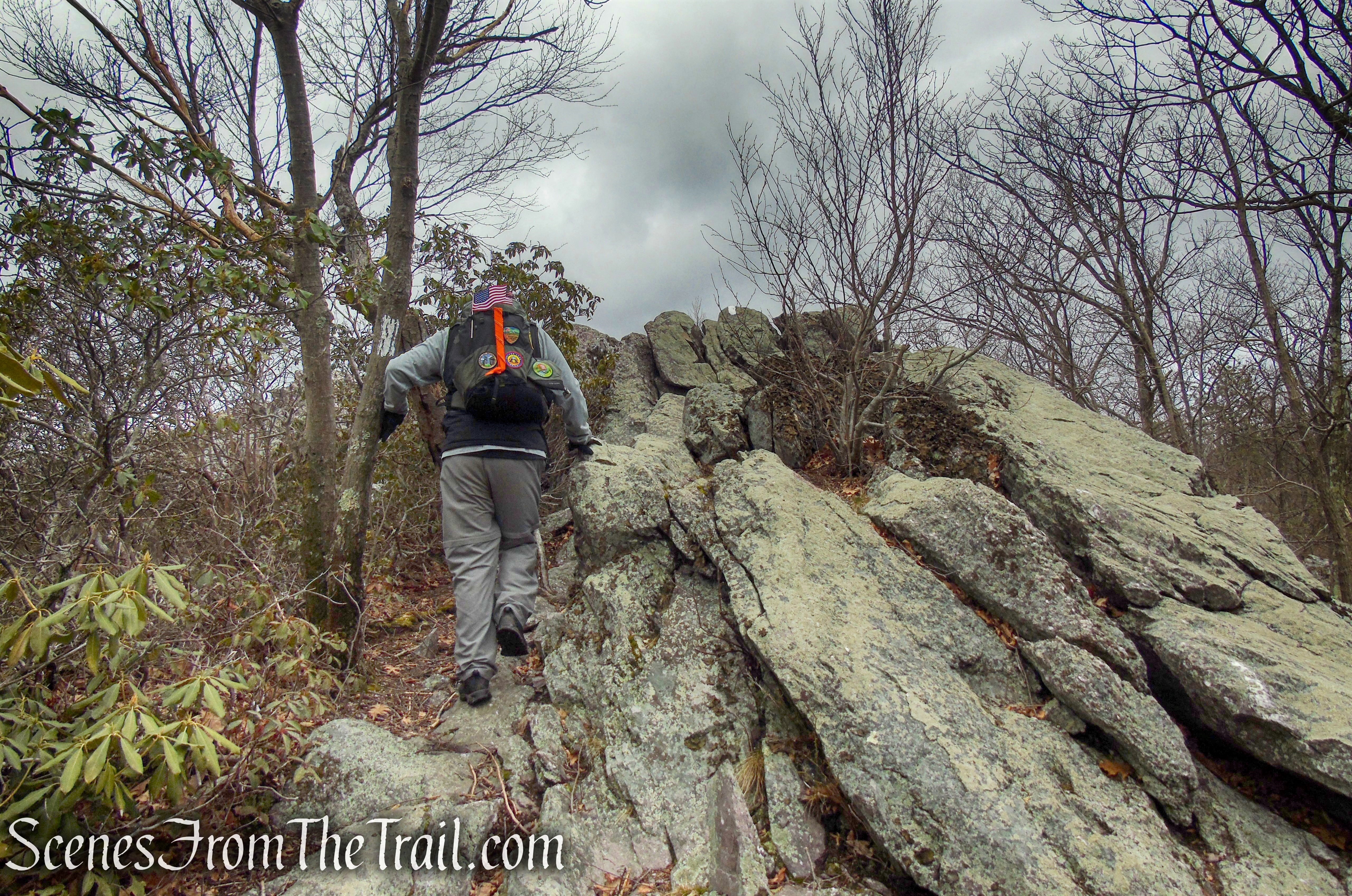 Cat Rocks - Bellvale Mountain