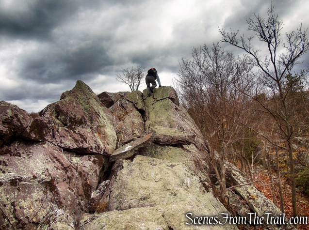 Cat Rocks - Bellvale Mountain