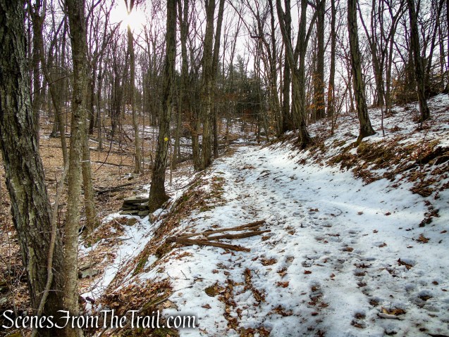 White Trail - Spiderweed Preserve