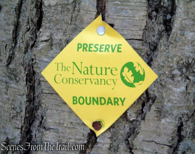 The Nature Conservancy