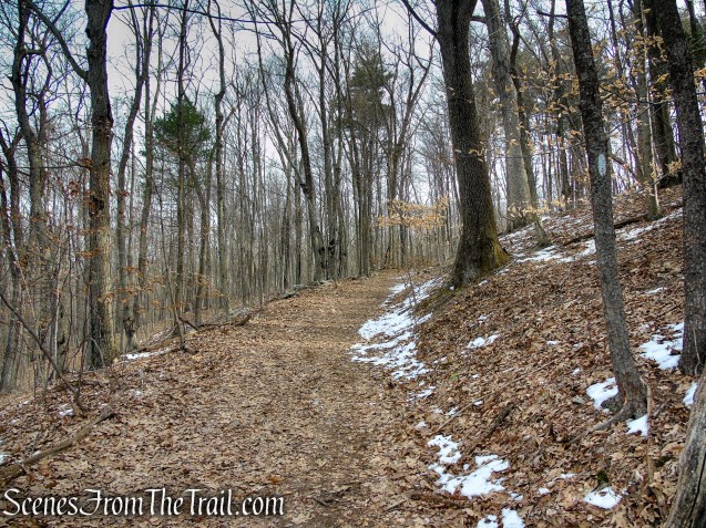 White Trail - Spiderweed Preserve