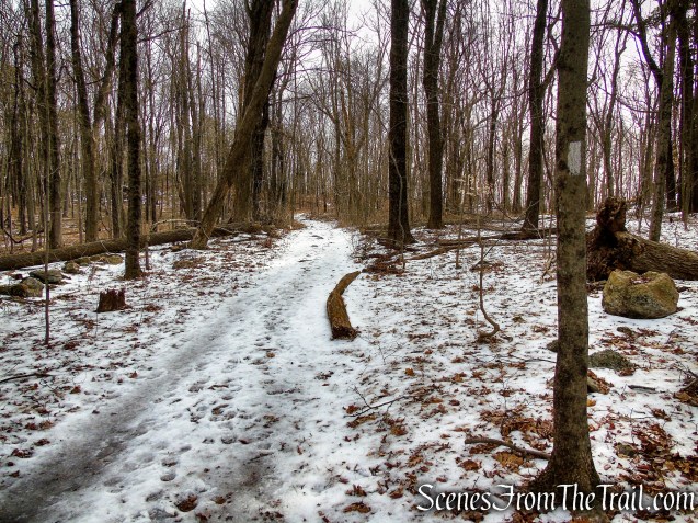 White Trail - Spiderweed Preserve