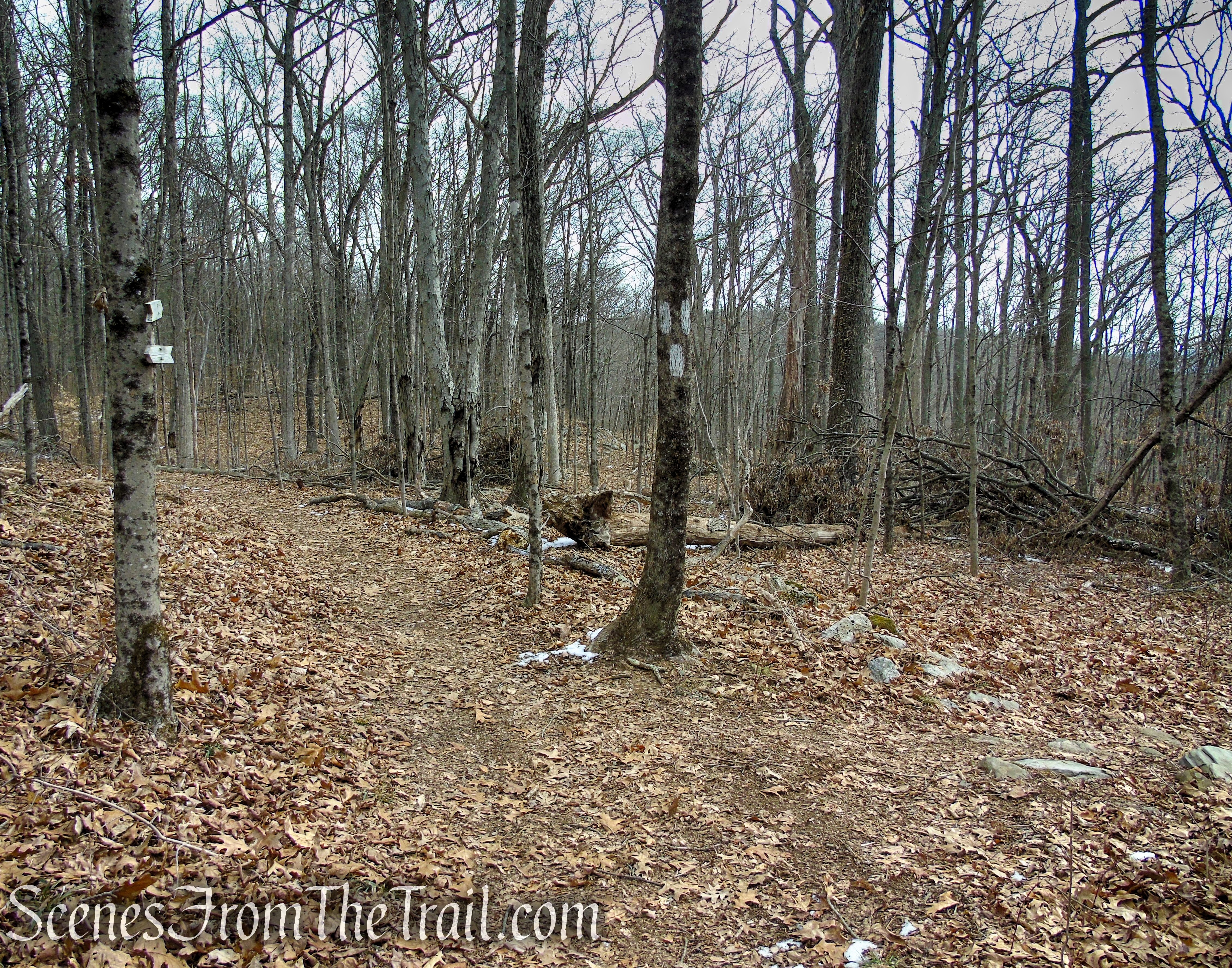turn right on spur trail to viewpoint