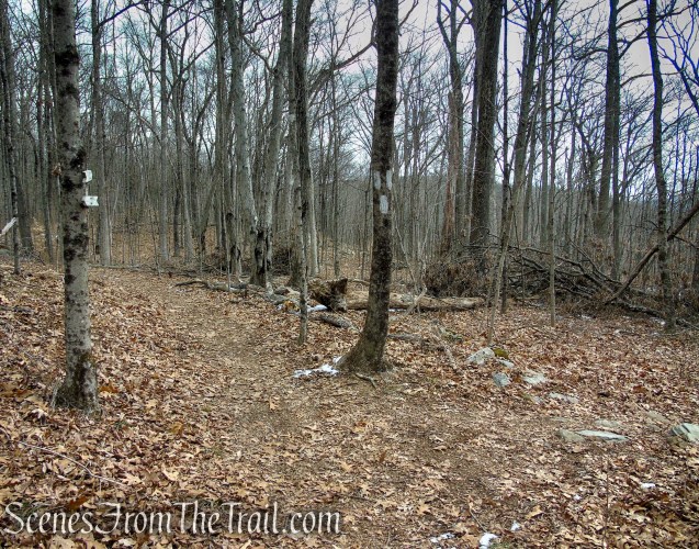 turn right on spur trail to viewpoint