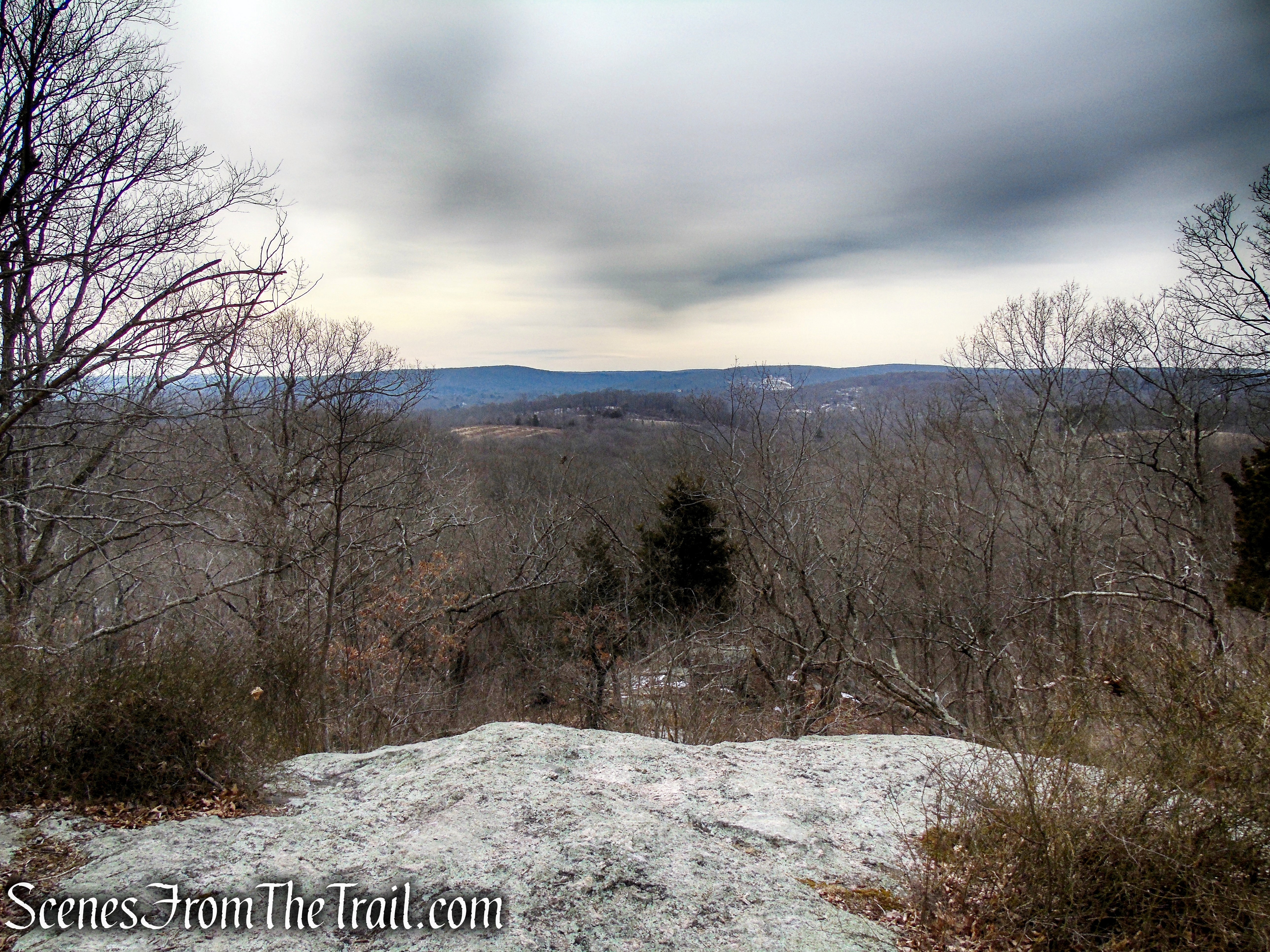 first viewpoint - Spiderweed Preserve