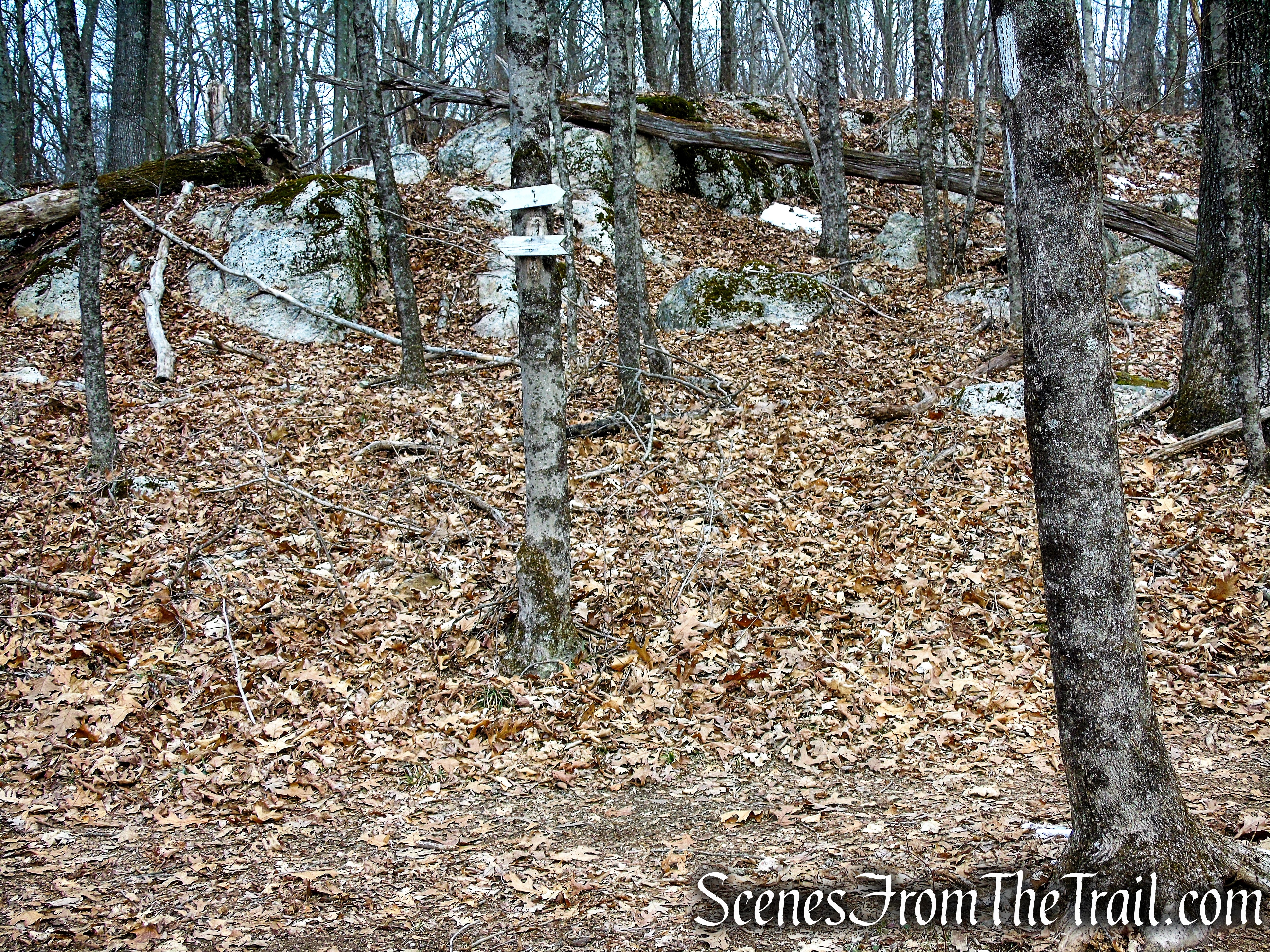 turn right on White Trail