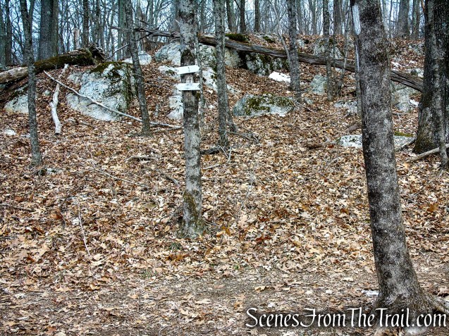 turn right on White Trail