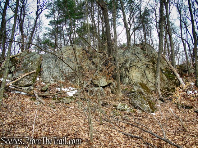 White Trail - Spiderweed Preserve