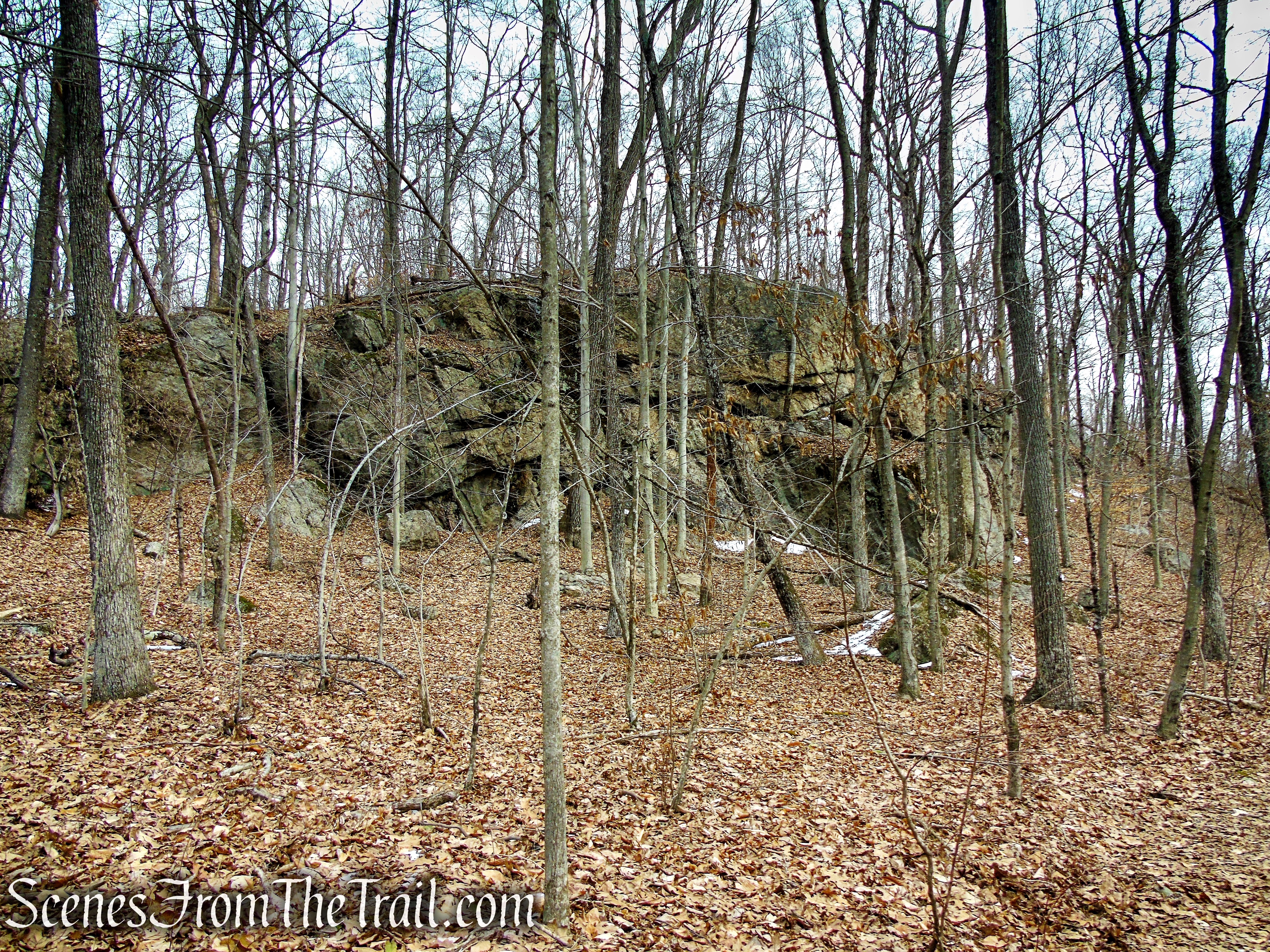 White Trail - Spiderweed Preserve