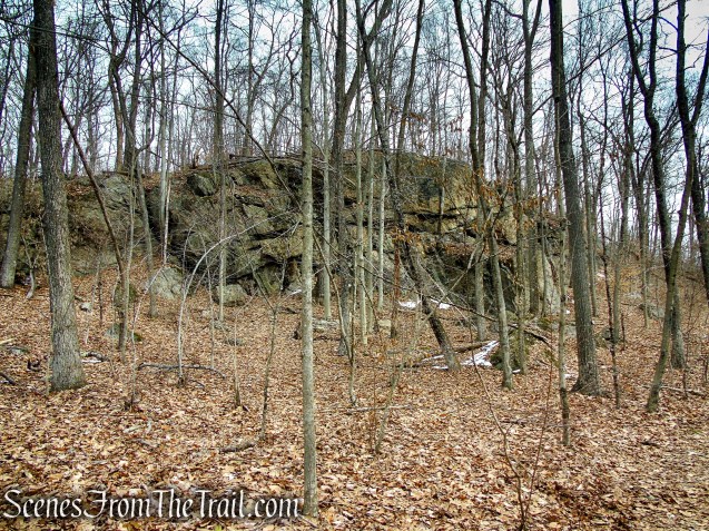 White Trail - Spiderweed Preserve