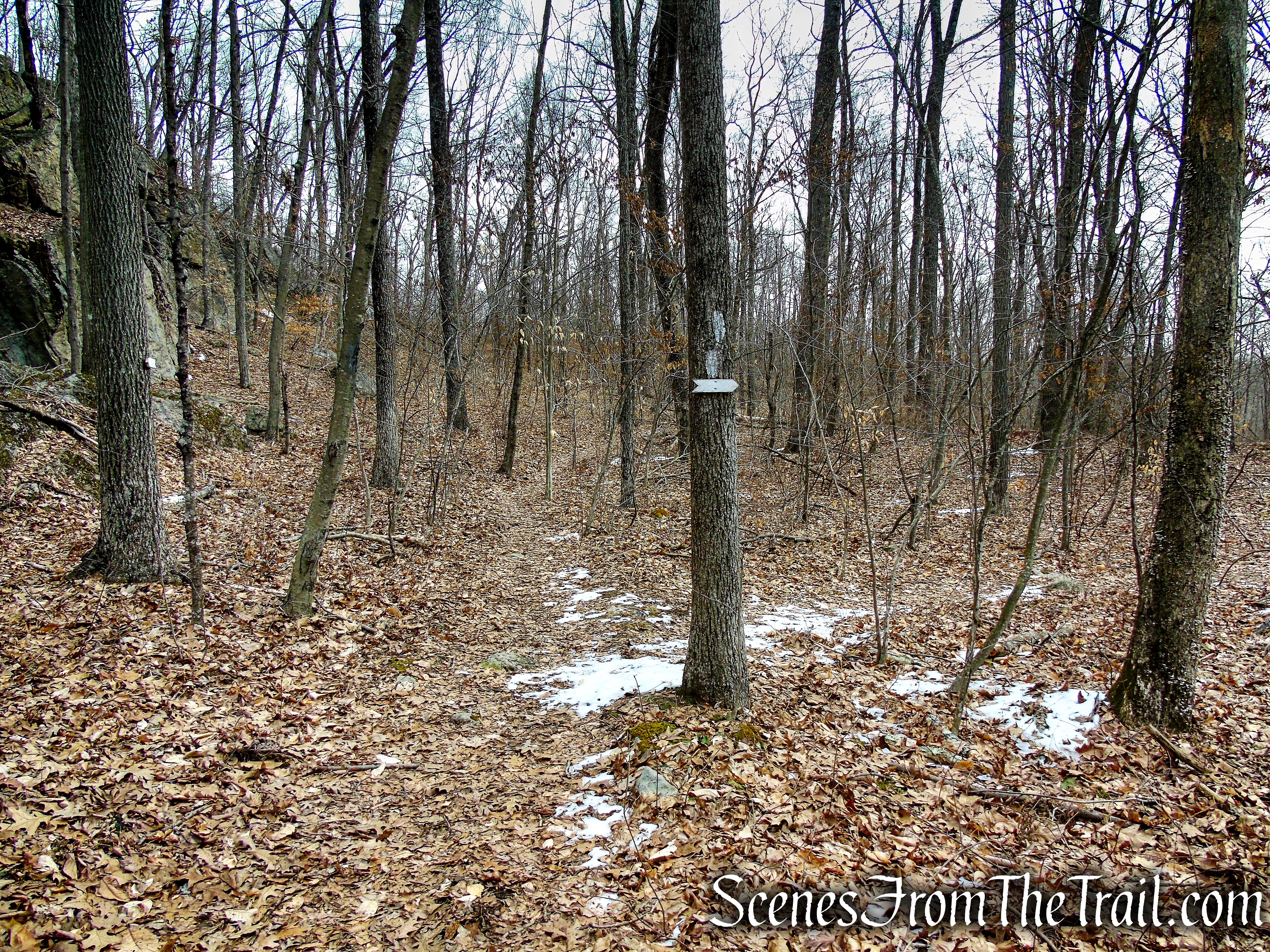 turn right to remain on White Trail
