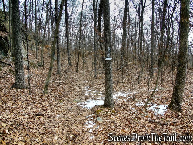 turn right to remain on White Trail
